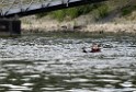 Uebung BF Taucher und Presse Koeln Zoobruecke Rhein P069